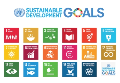 sustainable development goals