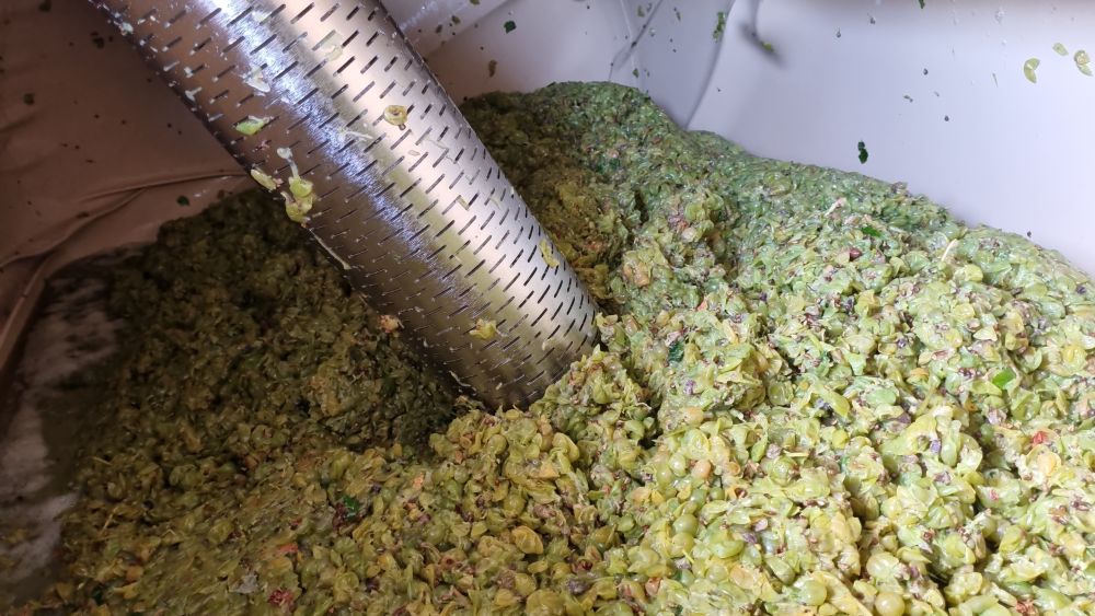pneumatic wine press